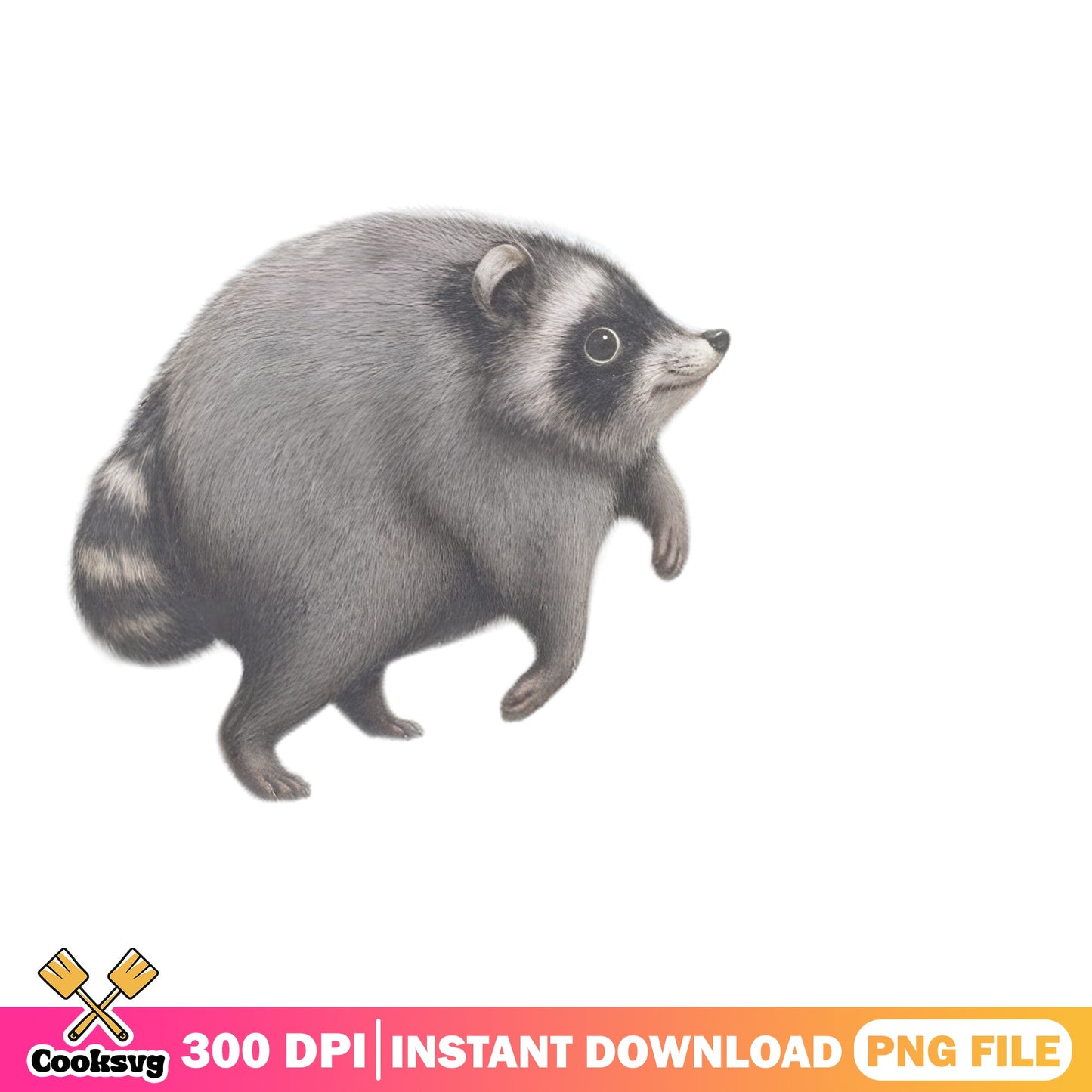 Cute Raccoon PNG, Woodland Animal Clipart PNG, Raccoon PNG