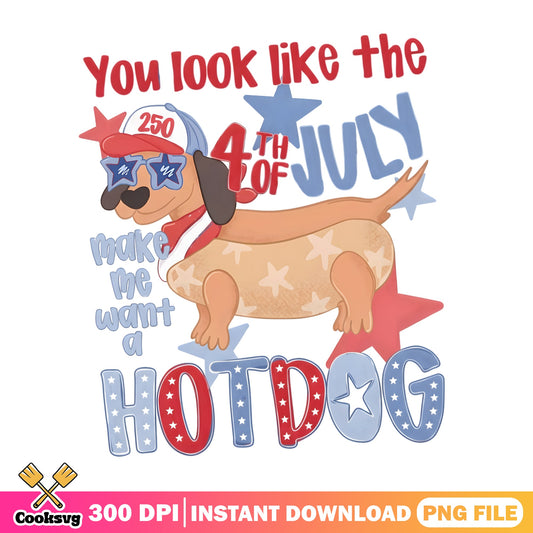 4th Of July Dachshund Hotdog PNG, Funny Dog 4th Of July PNG, Patriotic Dog PNG
