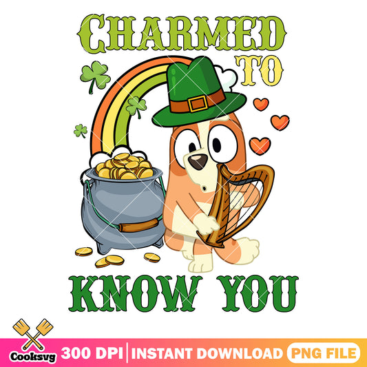 Bingo dog charmed to know you png, st patrick day bingo​ png