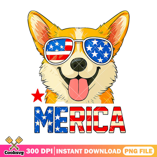 Corgi cute dog merica png, corgi america png, america sunglasses png
