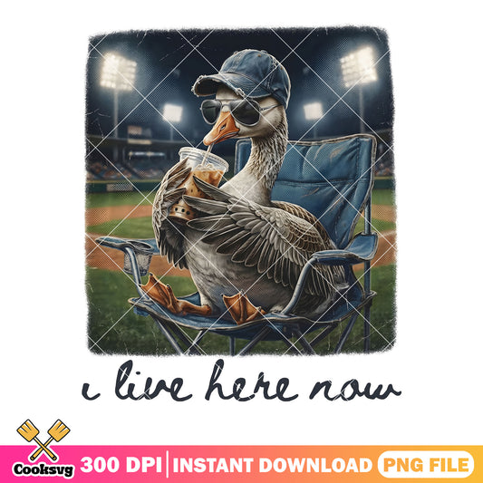Duck baseball meme png, i live here now png, baseball mom png