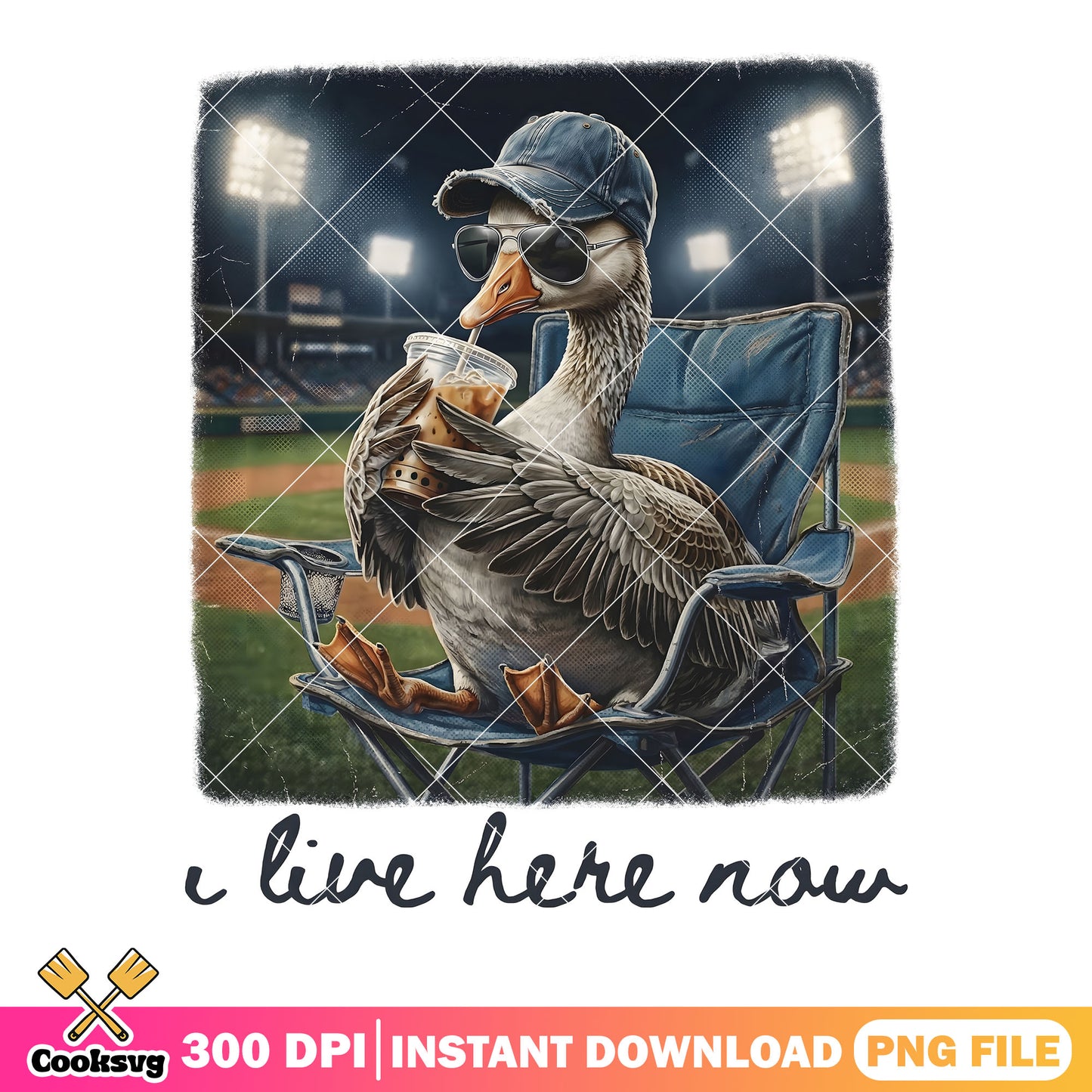 Duck live baseball stadium png, sport lover png, baseball mom png