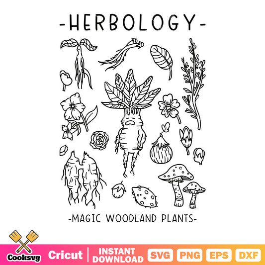 Herbology magic woodland plants svg, mushroom svg, potato  svg