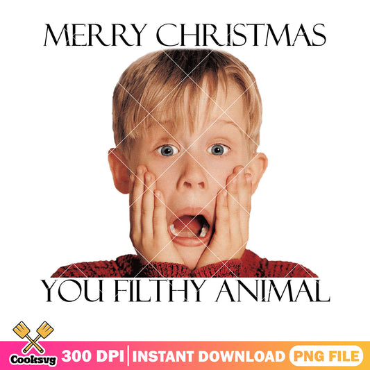 Merry christmas you filthy animal png, home alone png, Kevin png