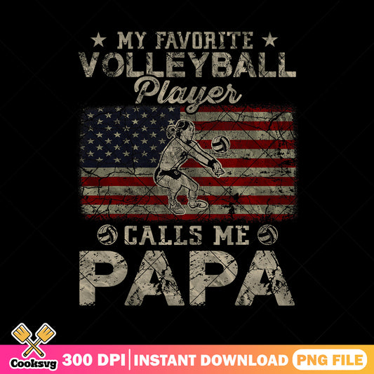 My favorite volleyball player png, calls me papa png, american dad falg png