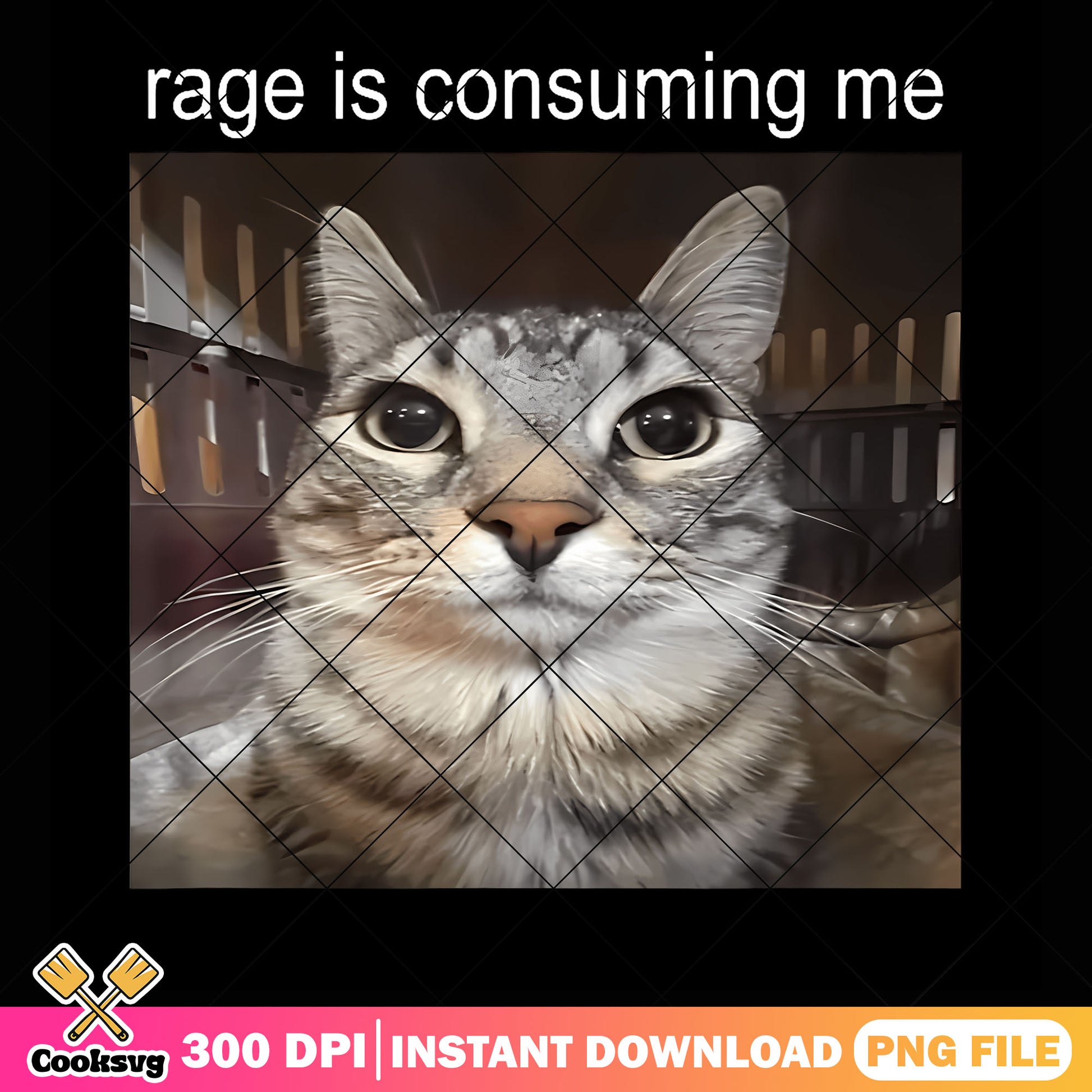 Rage is consuming me png, funny cat meme png, cute cat png