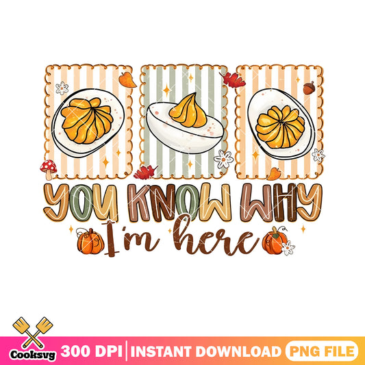 You know why im here png, scrambled egg png, pumpkin png